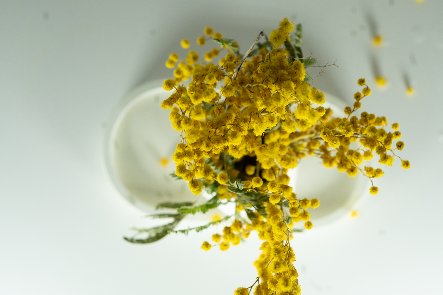 Citrus Fade — Oval Tray Pastel Objects Collection