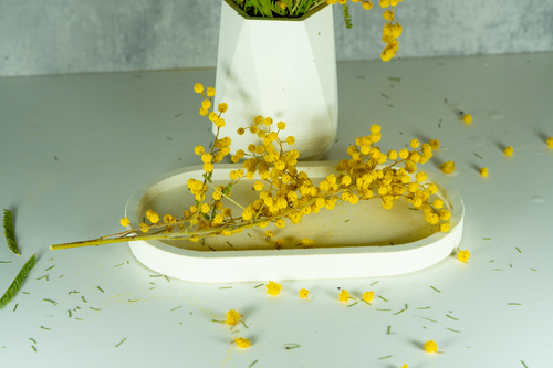 Citrus Fade — Medium Scented Oval Tray | Pastel Concrete Objects